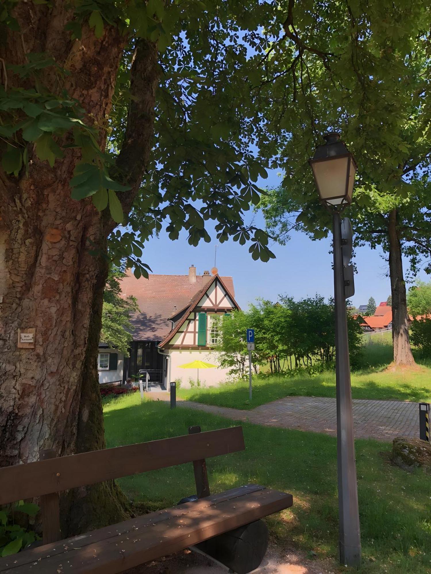 Ferienwohnung Am Keschtebaum, 70Qm Sasbachwalden Exteriör bild