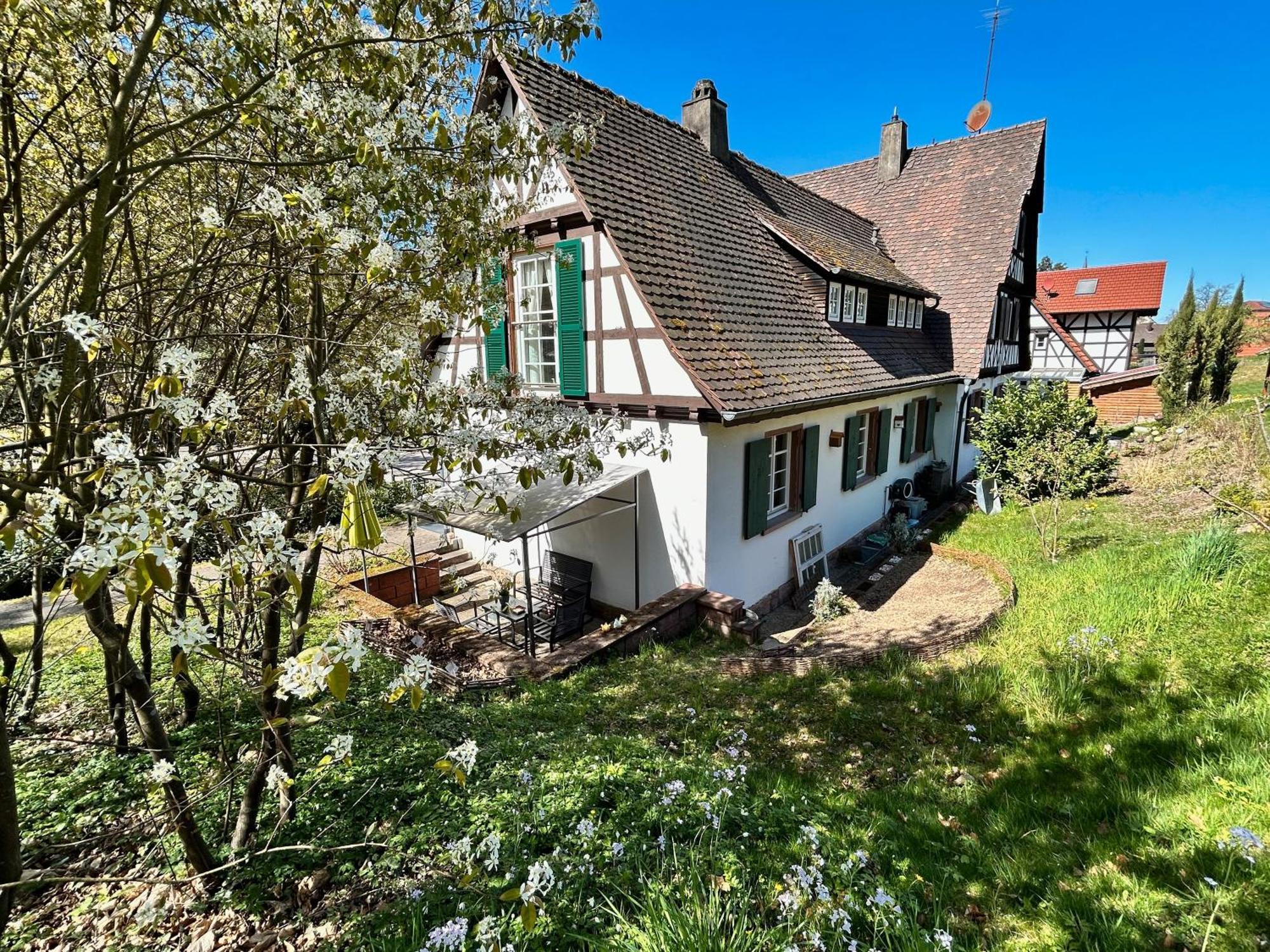 Ferienwohnung Am Keschtebaum, 70Qm Sasbachwalden Exteriör bild